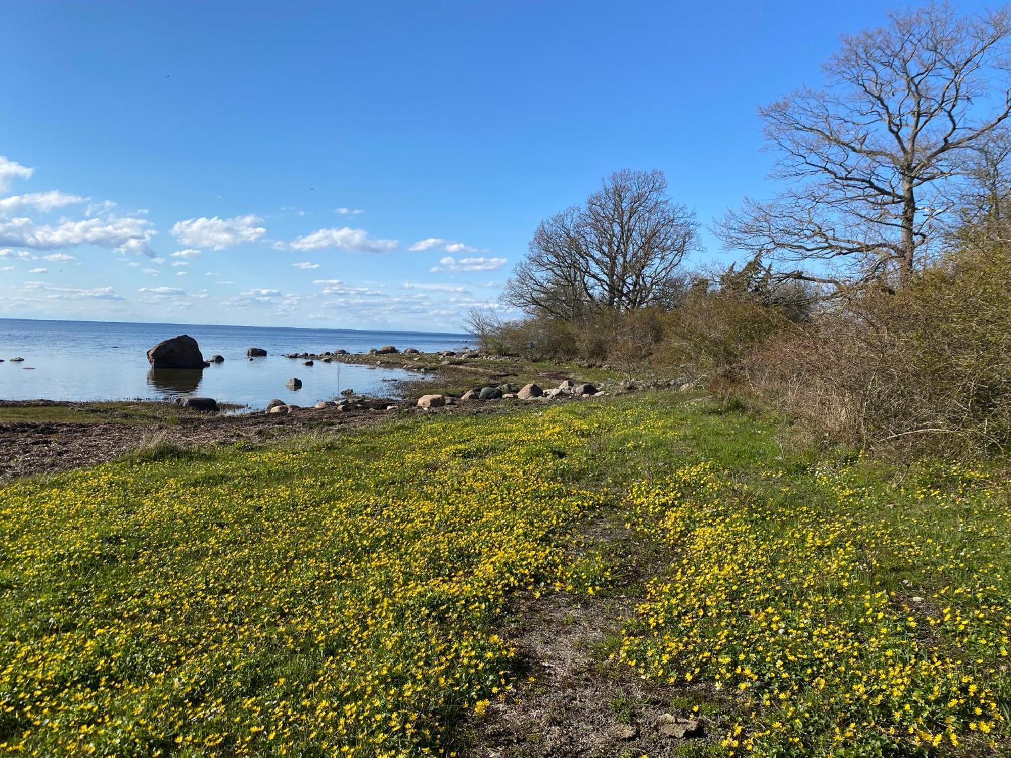 Gard Halltorps Hage Borgholm Exterior foto